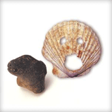 Bear Shaped Mud Figure and Shell Mask썸네일