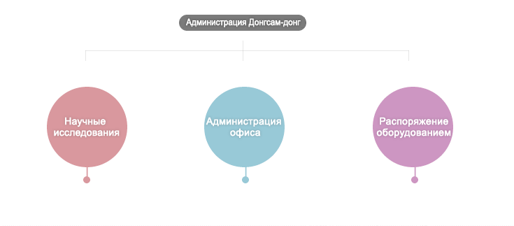 Организационная структура